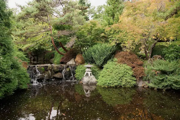 Japanese garden (13)